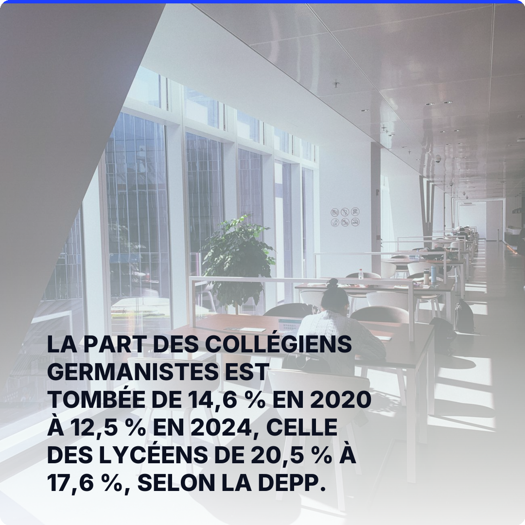 La part des collégiens germanistes est tombée de 14,6 % en 2020 à 12,5 % en 2024, celle des lycéens de 20,5 % à 17,6 %, selon la DEPP.