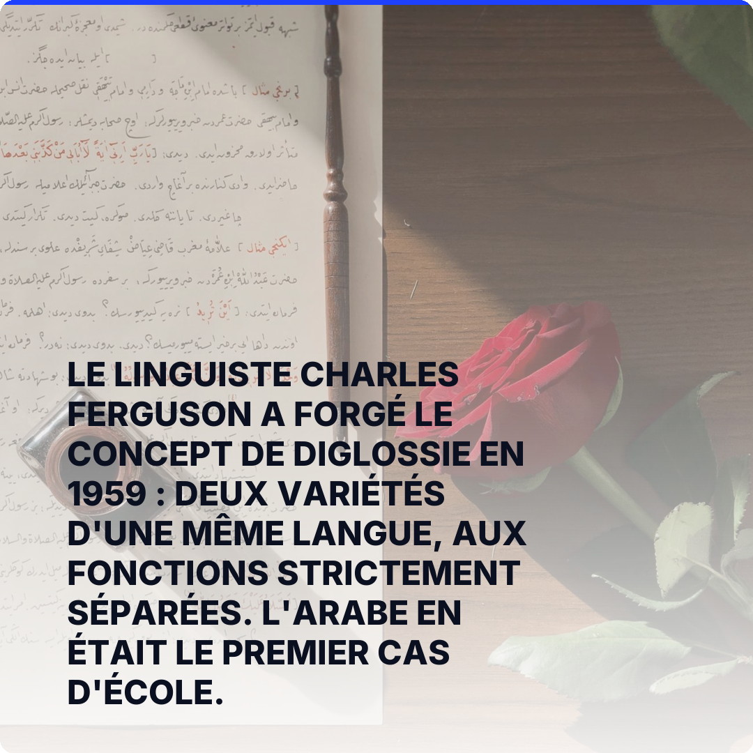 Le linguiste Charles Ferguson a forgé le concept de diglossie en 1959 : deux variétés d'une même langue, aux fonctions strictement séparées. L'arabe en était le premier cas d'école.