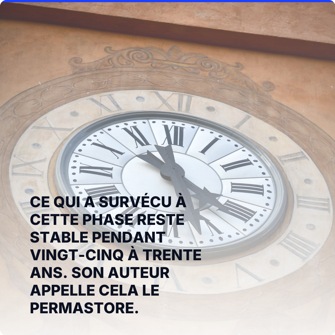 Ce qui a survécu à cette phase reste stable pendant vingt-cinq à trente ans. Son auteur appelle cela le permastore.