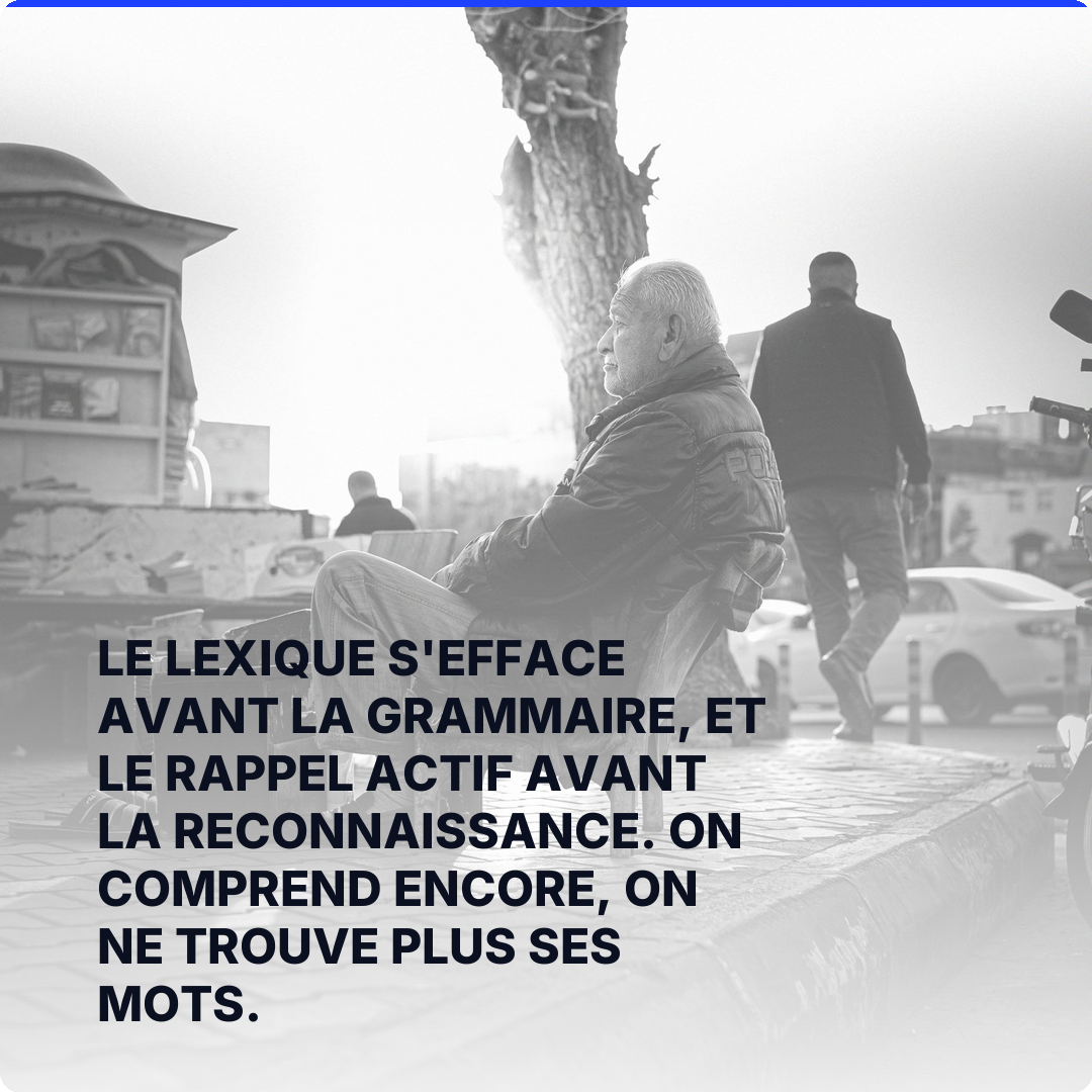 Le lexique s'efface avant la grammaire, et le rappel actif avant la reconnaissance. On comprend encore, on ne trouve plus ses mots.