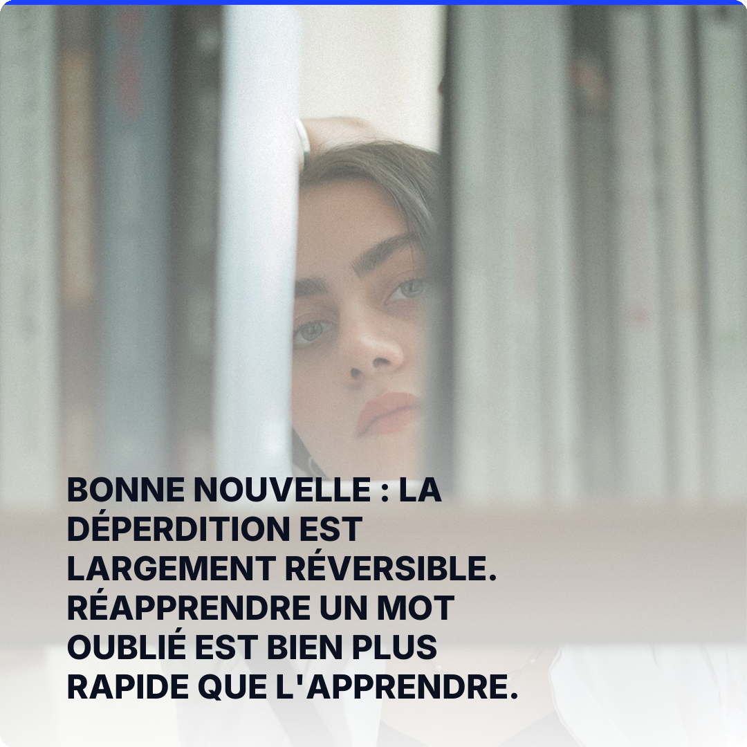 Bonne nouvelle : la déperdition est largement réversible. Réapprendre un mot oublié est bien plus rapide que l'apprendre.