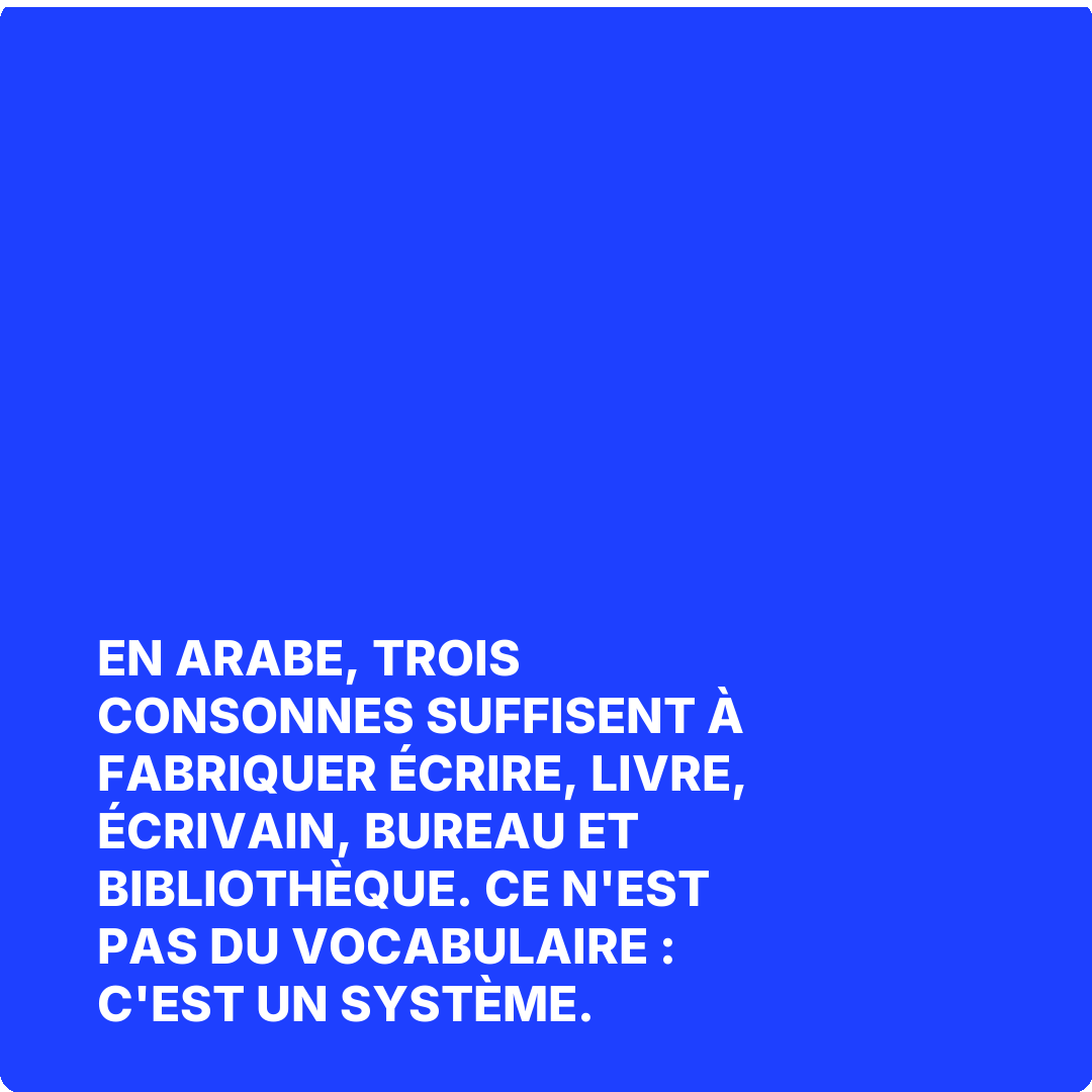 En arabe, trois consonnes suffisent à fabriquer écrire, livre, écrivain, bureau et bibliothèque. Ce n'est pas du vocabulaire : c'est un système.