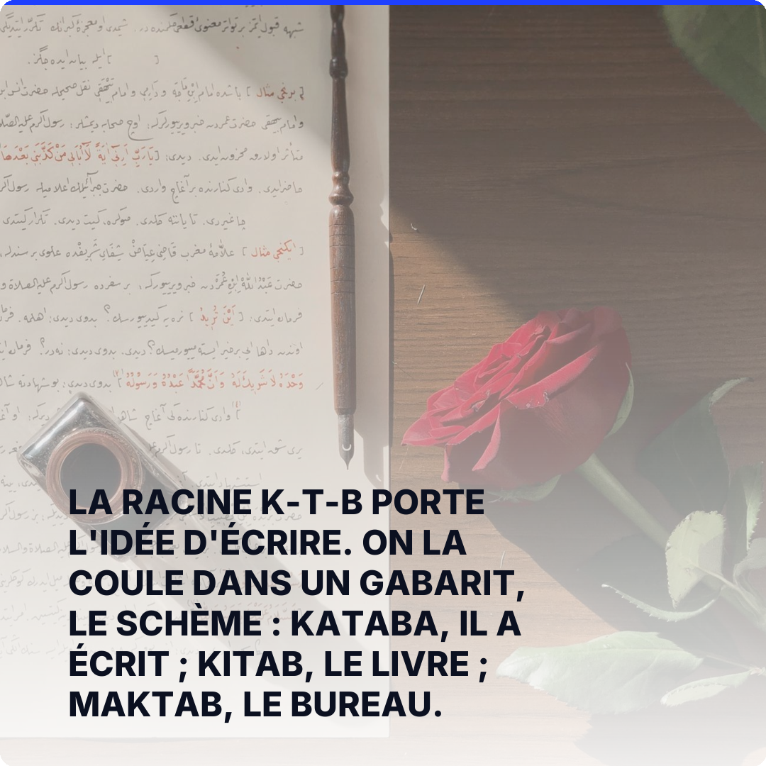 La racine k-t-b porte l'idée d'écrire. On la coule dans un gabarit, le schème : kataba, il a écrit ; kitab, le livre ; maktab, le bureau.