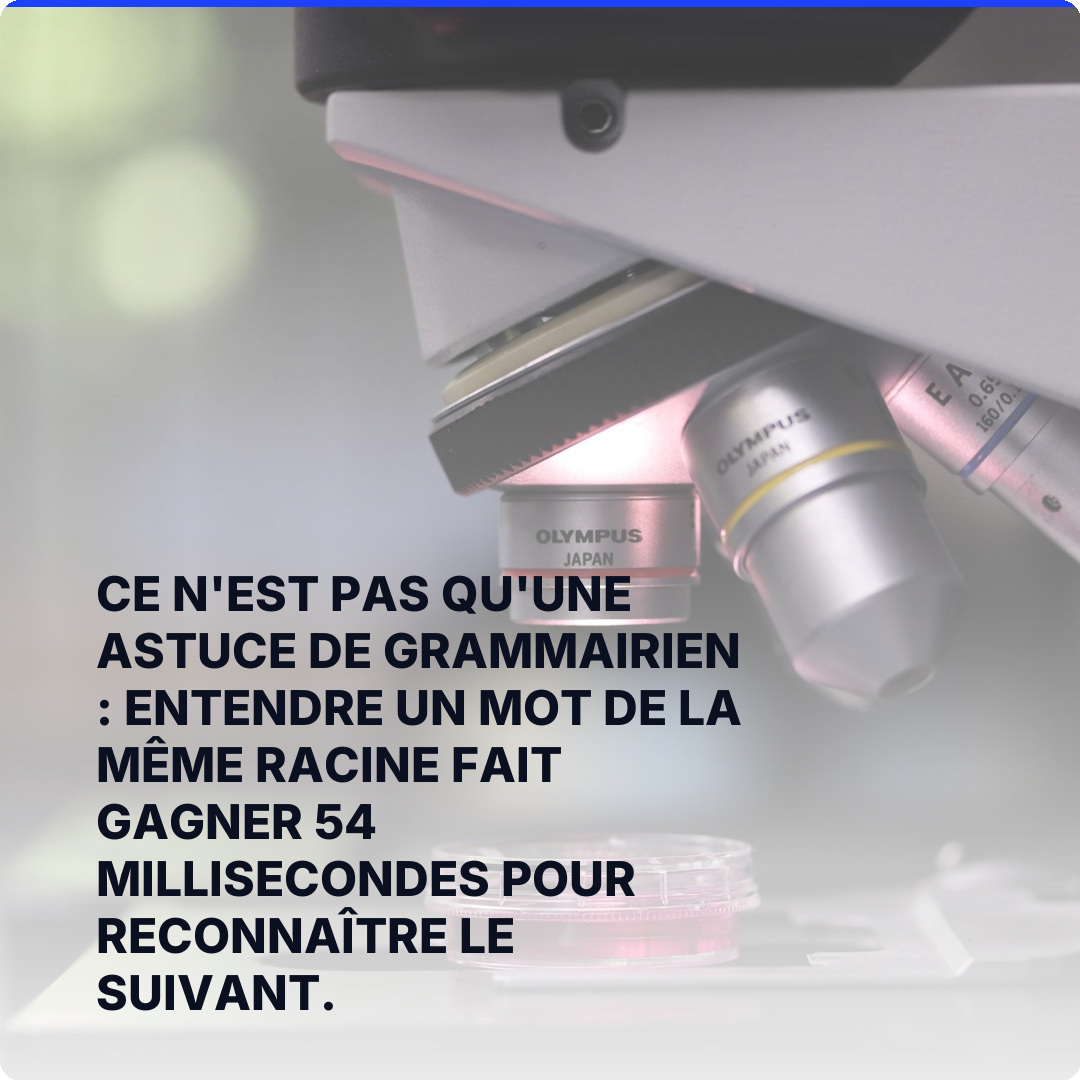 Ce n'est pas qu'une astuce de grammairien : entendre un mot de la même racine fait gagner 54 millisecondes pour reconnaître le suivant.