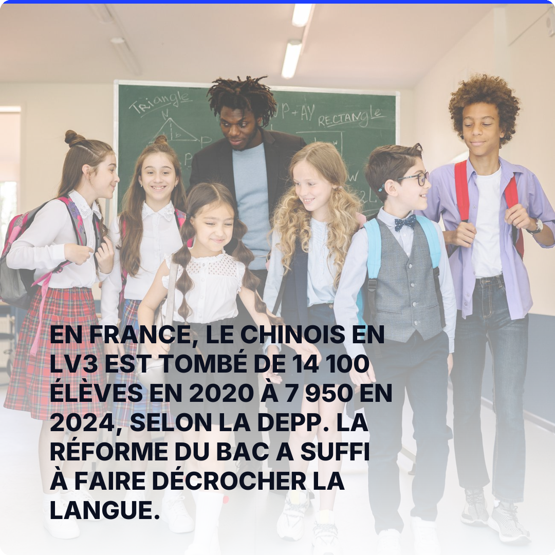 En France, le chinois en LV3 est tombé de 14 100 élèves en 2020 à 7 950 en 2024, selon la DEPP. La réforme du bac a suffi à faire décrocher la langue.