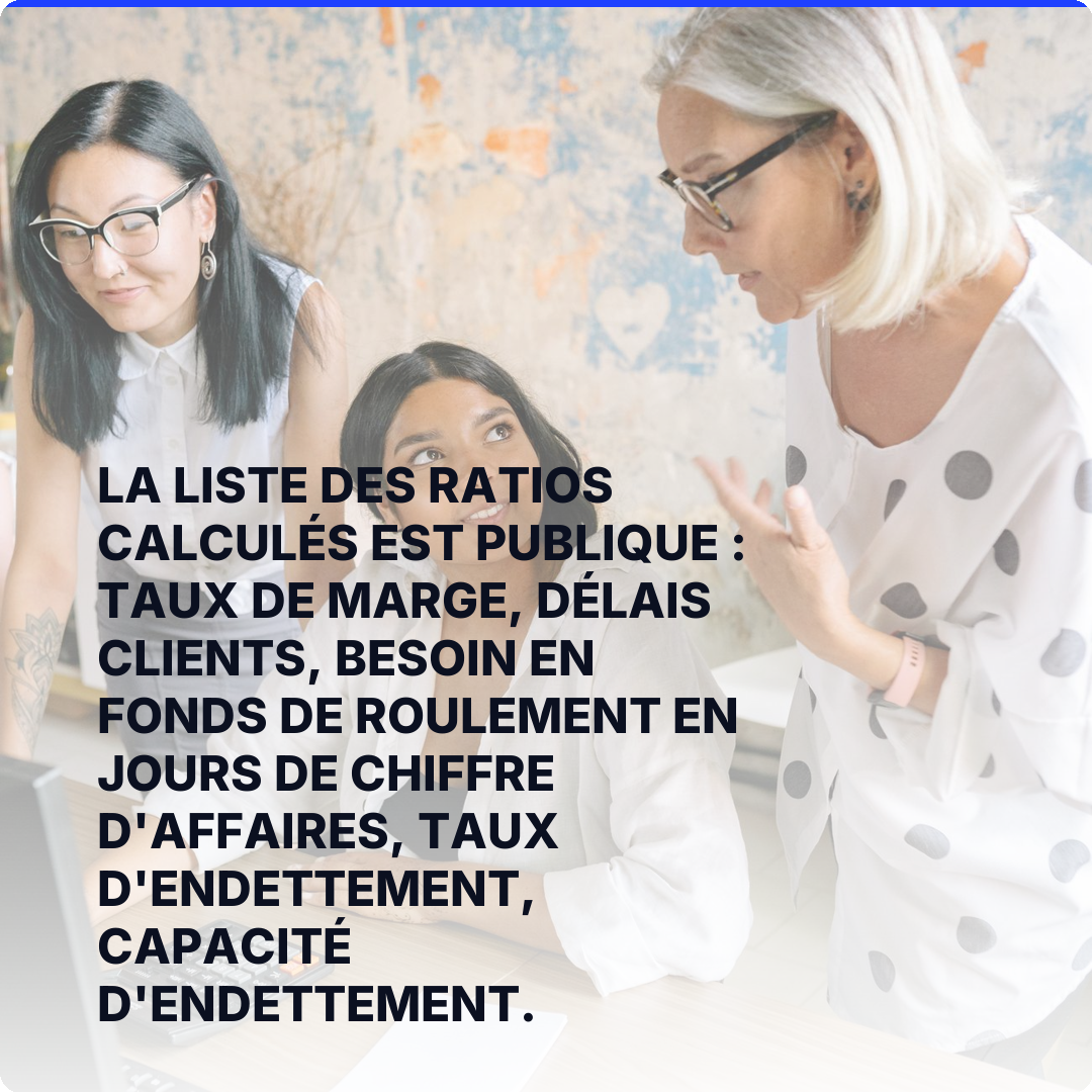 La liste des ratios calculés est publique : taux de marge, délais clients, besoin en fonds de roulement en jours de chiffre d'affaires, taux d'endettement, capacité d'endettement.