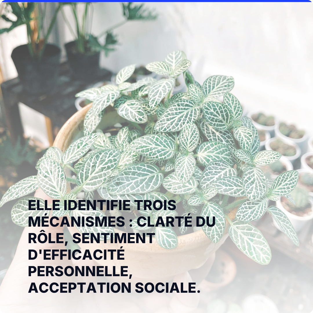 Elle identifie trois mécanismes : clarté du rôle, sentiment d'efficacité personnelle, acceptation sociale.