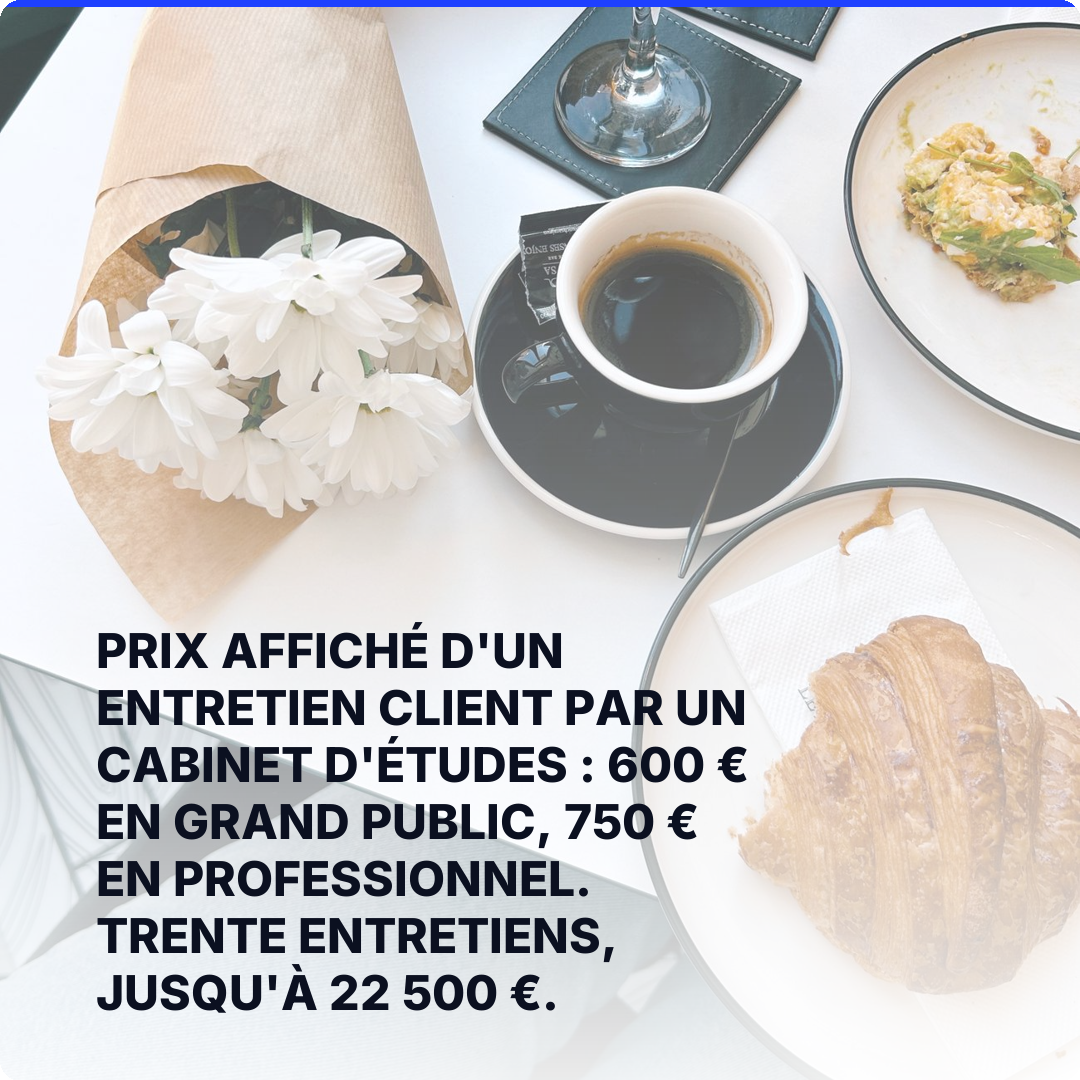 Prix affiché d'un entretien client par un cabinet d'études : 600 € en grand public, 750 € en professionnel. Trente entretiens, jusqu'à 22 500 €.