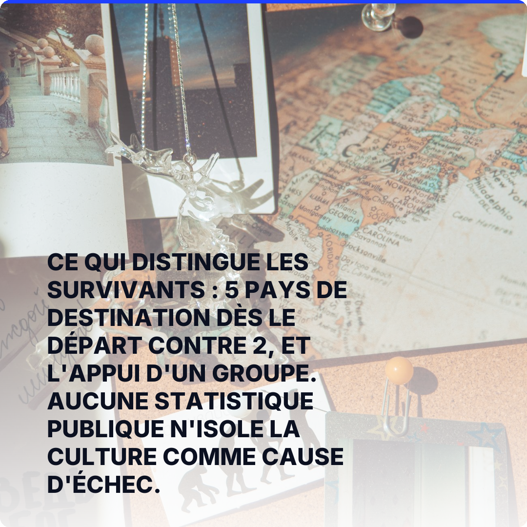 Ce qui distingue les survivants : 5 pays de destination dès le départ contre 2, et l'appui d'un groupe. Aucune statistique publique n'isole la culture comme cause d'échec.