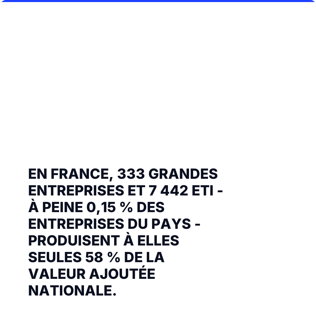 En France, 333 grandes entreprises et 7 442 ETI - à peine 0,15 % des entreprises du pays - produisent à elles seules 58 % de la valeur ajoutée nationale.
